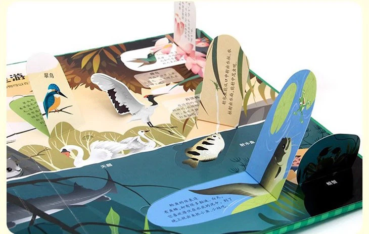 Beautiful Pop Up Books