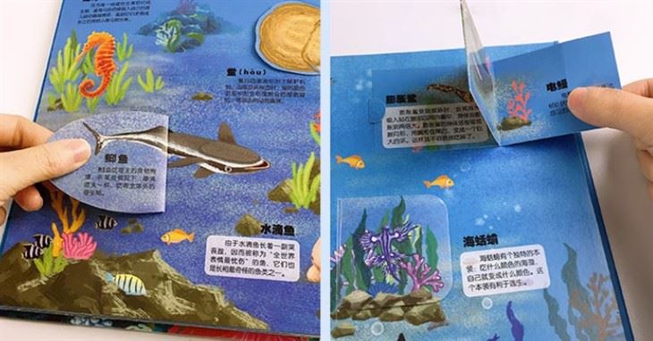 Pop Up Book Printable